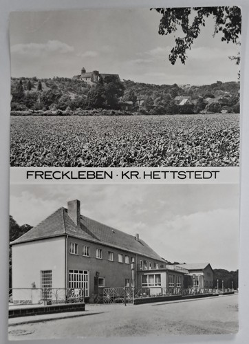Freckleben hettstedt - ak, kr.